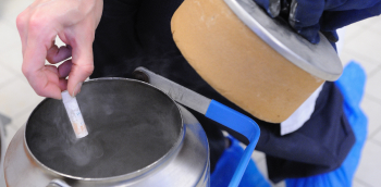 Une personne range un prélèvement d'ovocytes dans une cuve d'autoconservation