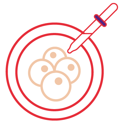 icône seringue et ovocytes